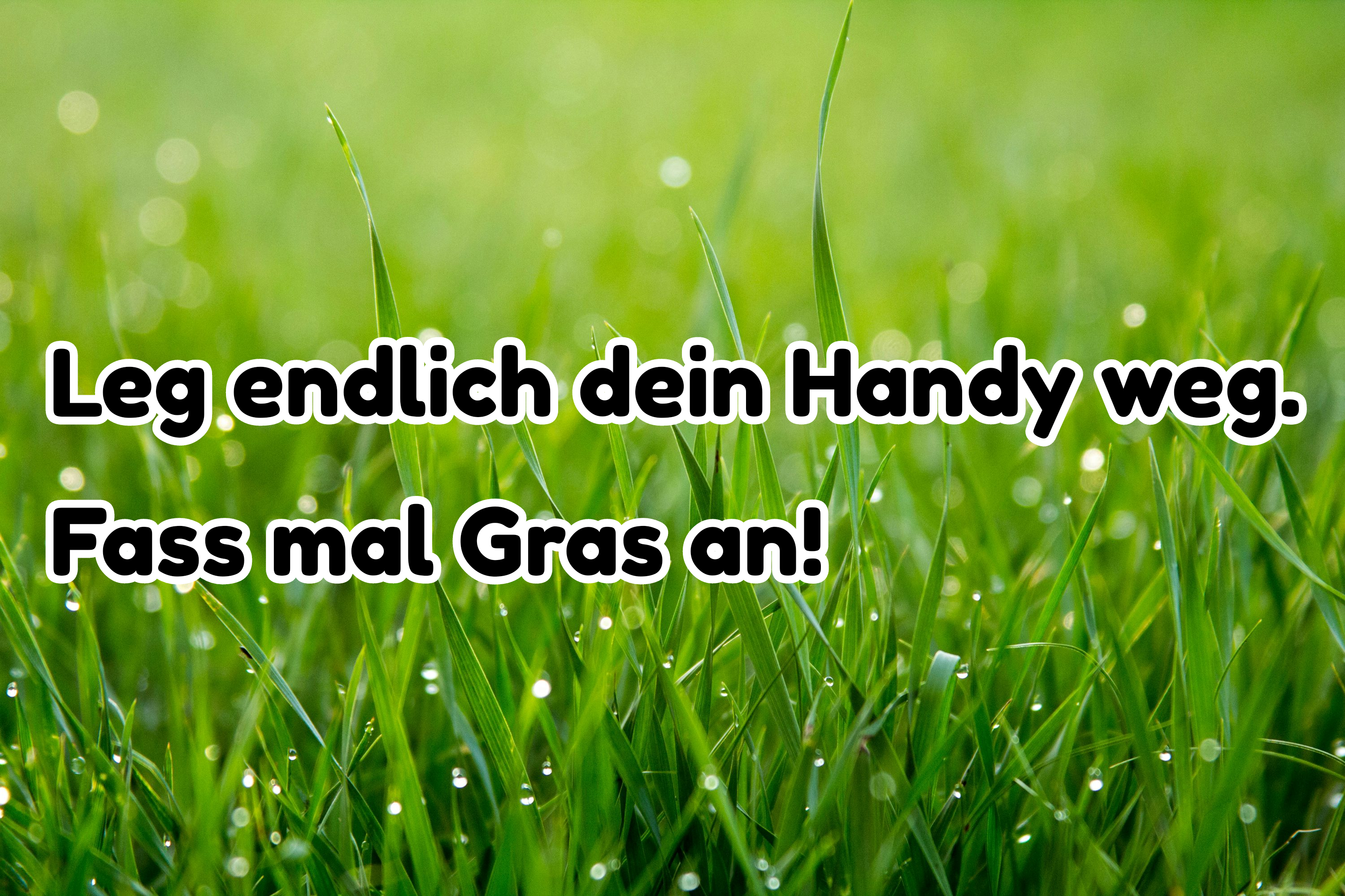 Gras